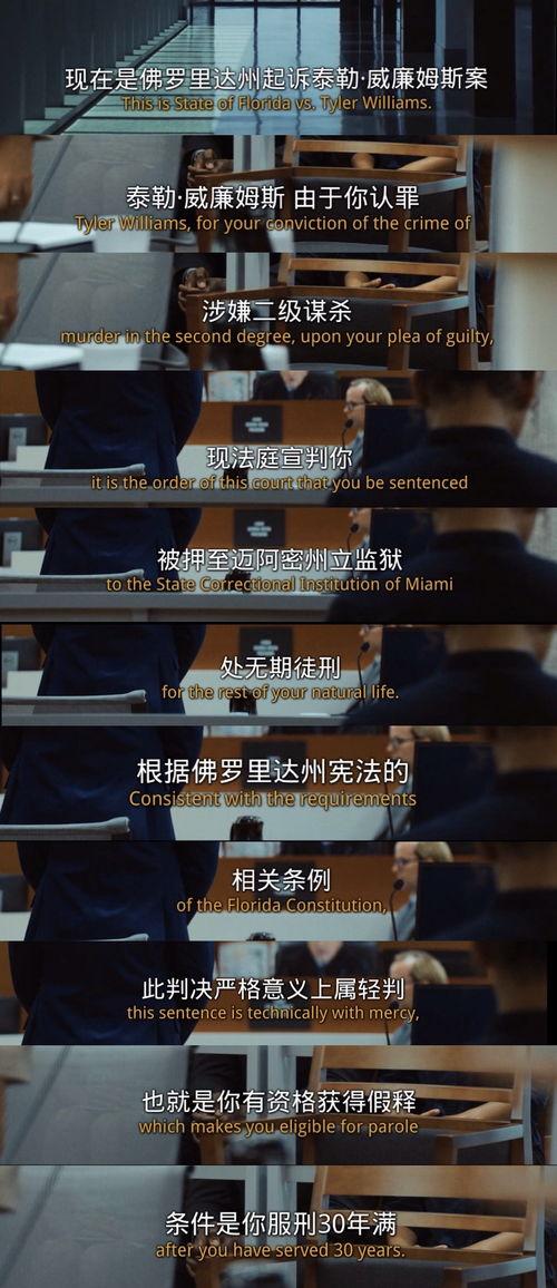 成人二级视频,深度解析内容与影响