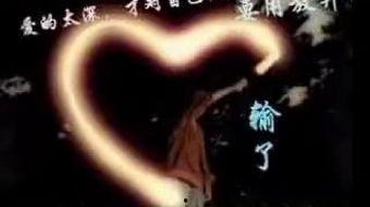 佛主视频,揭示禅意生活智慧