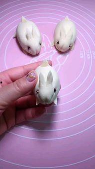 兔子做法视频,轻松学会视频制作技巧