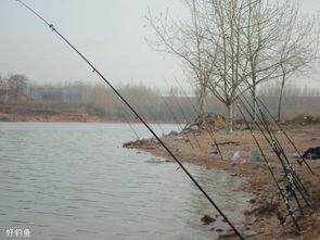 海竿抛投教学视频,跟随教学视频轻松掌握