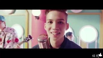 十二大劲功视频,揭秘传统武术精髓与实战技巧