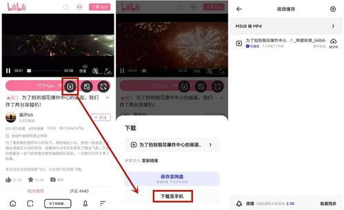 怎么下载b站视频,B站视频下载全攻略