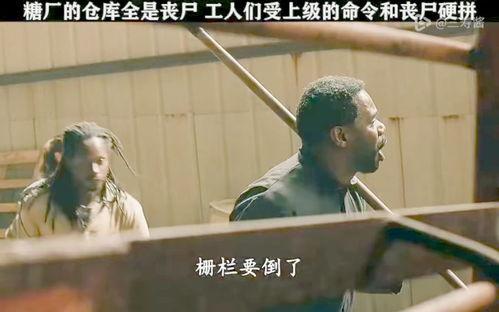 丧尸走路视频,惊悚视频揭示末世生存真相