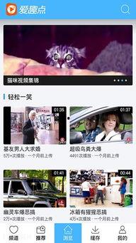 搞笑视频保存,让你笑到肚子疼