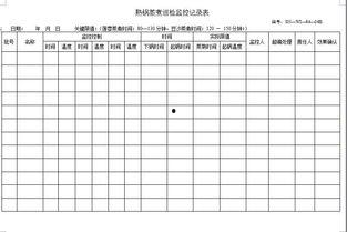 视频监控记录表,揭秘日常安全守护的幕后英雄